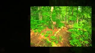 Visiting Teetertown Natural Area and Campground