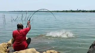 Hook Fishing 🎣 | Fisherman Sitting On a Cliff 🔥 and Hunting Rohu Fishes in River 💯