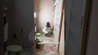 Бюджетное решение для стен
