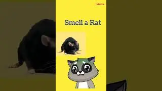 Smell a rat | idioms| English @englishwalididi