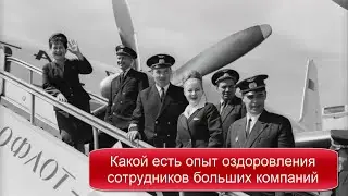 Опыт оздоровления сотрудников больших компаний
