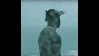 (FREE) 