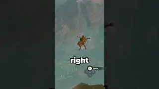 Can You Beat Tears of the Kingdom WITHOUT The Surface? #totk #shorts #botw