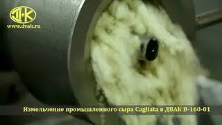 Измельчение сыра Кальята (Cagliata) в волчке ДВАК В 160-01  (специальный шнек для сыра)