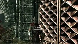 Skyrim. Раньше и меня вела дорога приключений