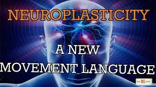 NeuroPlastic Nugget 6: Neuroplasticity Is a New Movement LANGUAGE