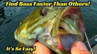 The Key To Finding Bass Faster Than Other Fisherman! So Easy But Never Discussed!