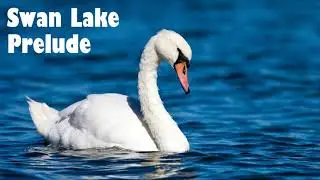 Swan Lake Prelude (Piano  Arrangement)