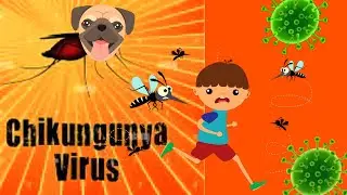 Raydiosho - Chikungunya