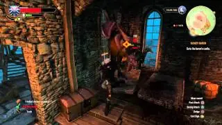 The Witcher 3: DRAGON PHYSICS OP