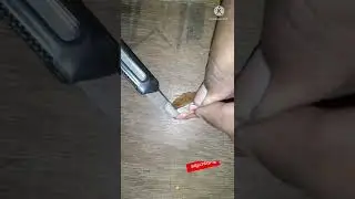 మెడిసిన్ Capsules లోపల ఏముందో చూడండి💊💊💊