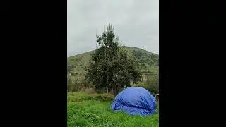 İlham Qəmli | Sözləri kəsərli, əməlləri düz, & Vüqarlı bir dağdır Gədəbəylilər.