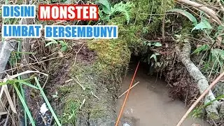 MANCING LIMBAT MONSTER DI LUBANG