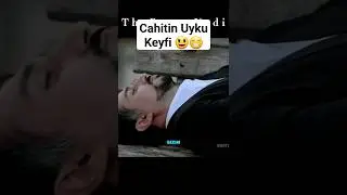 Cahit 'in uyku keyfi 😃😁 