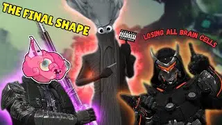 2 Brain Cells take on the Final Shape : Destiny 2 Final Shape