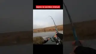 Щука на меляке осенью 