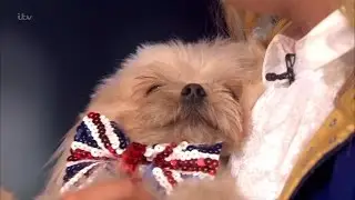 Trip Hazard & Lucy - Britain's Got Talent 2016 Semi-Final 5
