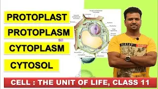 PROTOPLAST, PROTOPLASM, CYTOPLASM, CYTOSOL | CELL THE UNIT OF LIFE Class 11 | NCERT Biology | NEET