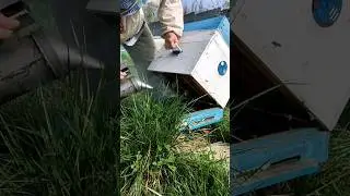 Час підставляти корпуса! Сезон Бджільництва 2024р