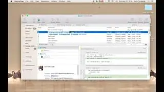 Nodejs #11 - Static Assets