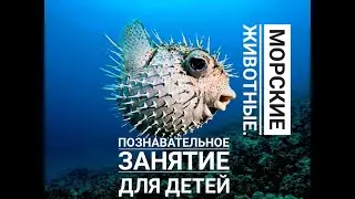 Познавательный урок для детей. Рыба-Ёж. Морские обитатели