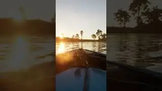 Deino Swimming Into the Sunrise | The Isle Evrima  Update 7 Stress Test Gateway Map 
