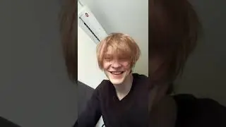 #дипинс
