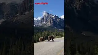 La Vista de unas hermosas montañas #reels #viral