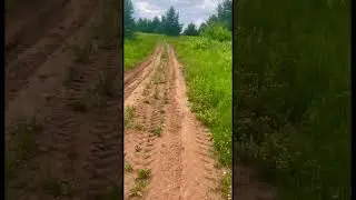 3 июля 2024 г.