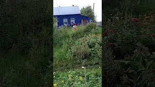 После дождя.
