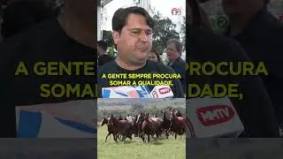 ACASALAMENTO IDEAL  #cavalo #abccmm #abccmmoficial #cavalos #agro #marchador #acasalamento