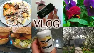 VLOG/ Готовлю ужин/ Посеяла зелень/ Новые цветы