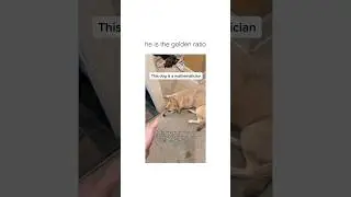 he is the golden ratio 