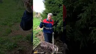 Что такое в деревне навоз?