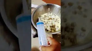 заболела собака(