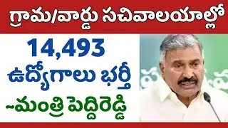 ఏపీ గ్రామ సచివాలయాల్లో 14,493 ఉద్యోగాలు భర్తీ: మంత్రి పెద్దిరెడ్డి | AP Grama Sachivalayam Jobs 2022
