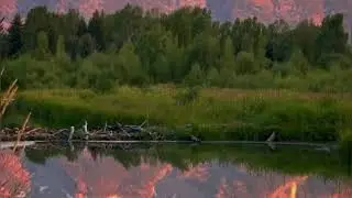 Не жалійте ніколи... Читає автор Любов Федюкевич.
