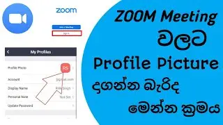 How to add profile pictures on zoom meeting in sinhala - TECH MADU