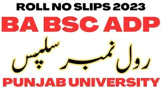 BA BSc ADP Annual 2023 Roll No Slips PU