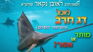 הגאון הרב ראובן נקאר שליט