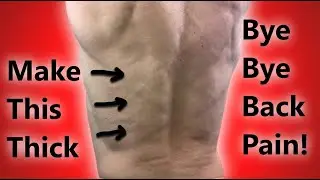 Erector Spinae Muscles Exercises