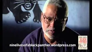 Nine Lives Of A Panther Book