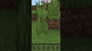 Minecraft#