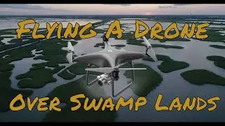 Drone in the marshes | DJI Phantom Pro 4