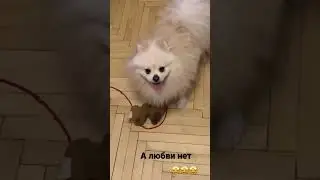 Зацепила меня