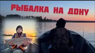 Рыбалка на реке Дон.