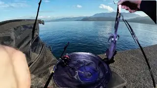 5 SALIDAS DOS CHIPIRONES Y TRES BOLOS