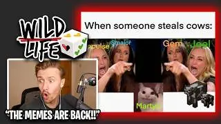 Solidarity REACTS To 