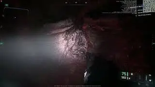 Star Citizen - Kopion Hunting