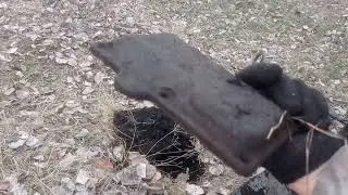 Открыл сезон метало копа .